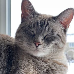 Meet your Posher, Casandra